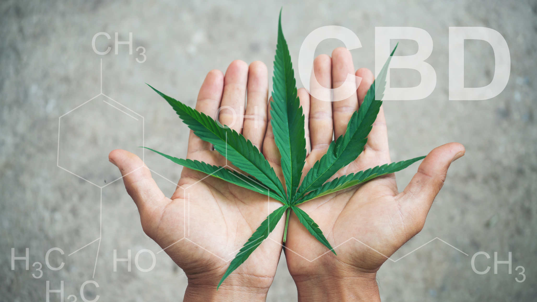 CBD and the Entourage Effect: Unlocking Full Plant Potential