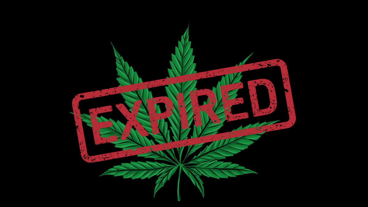 Do THC Gummies Expire? Shelf Life, Potency, and How to Tell