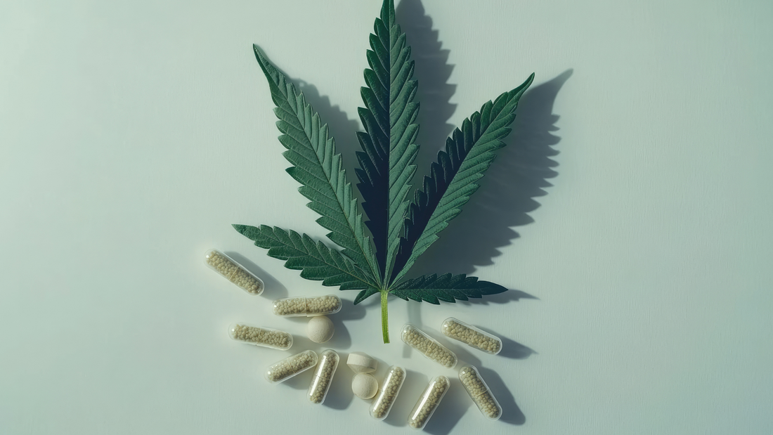 Cannabinoid Interactions: What to Know Before Mixing THC, CBD, CBN, or CBG with Other Medications