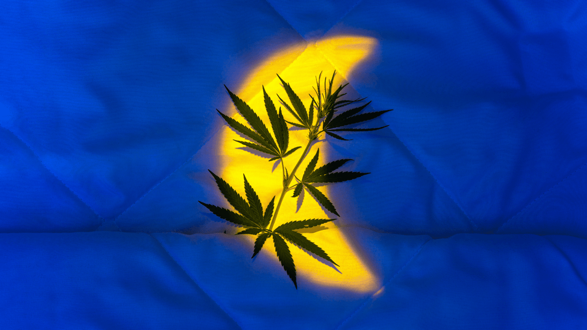 CBN Gummies: Discover the Power of Lunar Drift CBN Gummies - CBDX.com