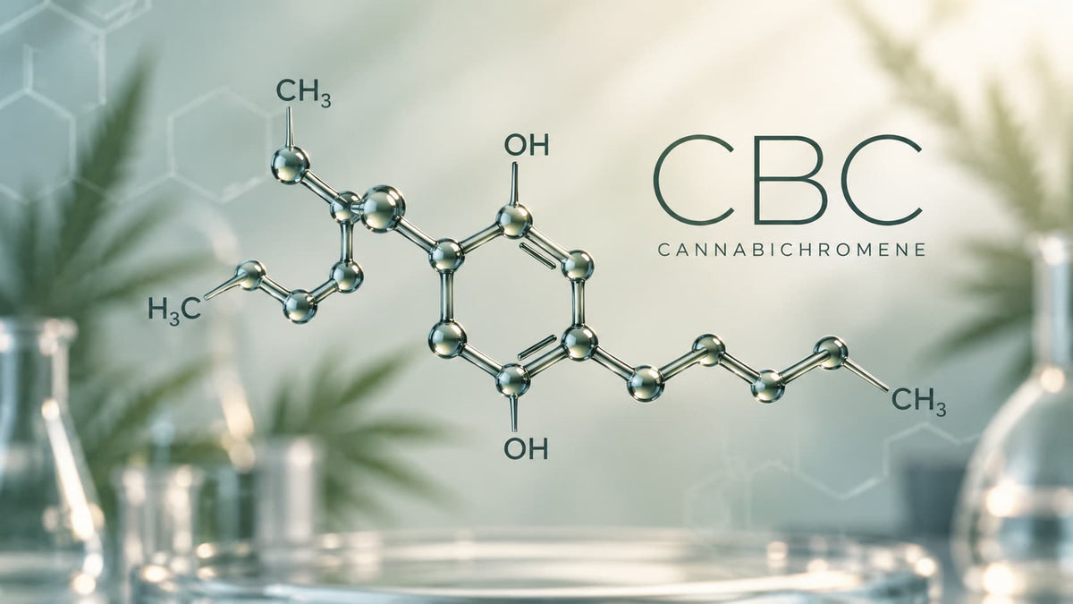What is CBC cannabinoid and its effects and benefits