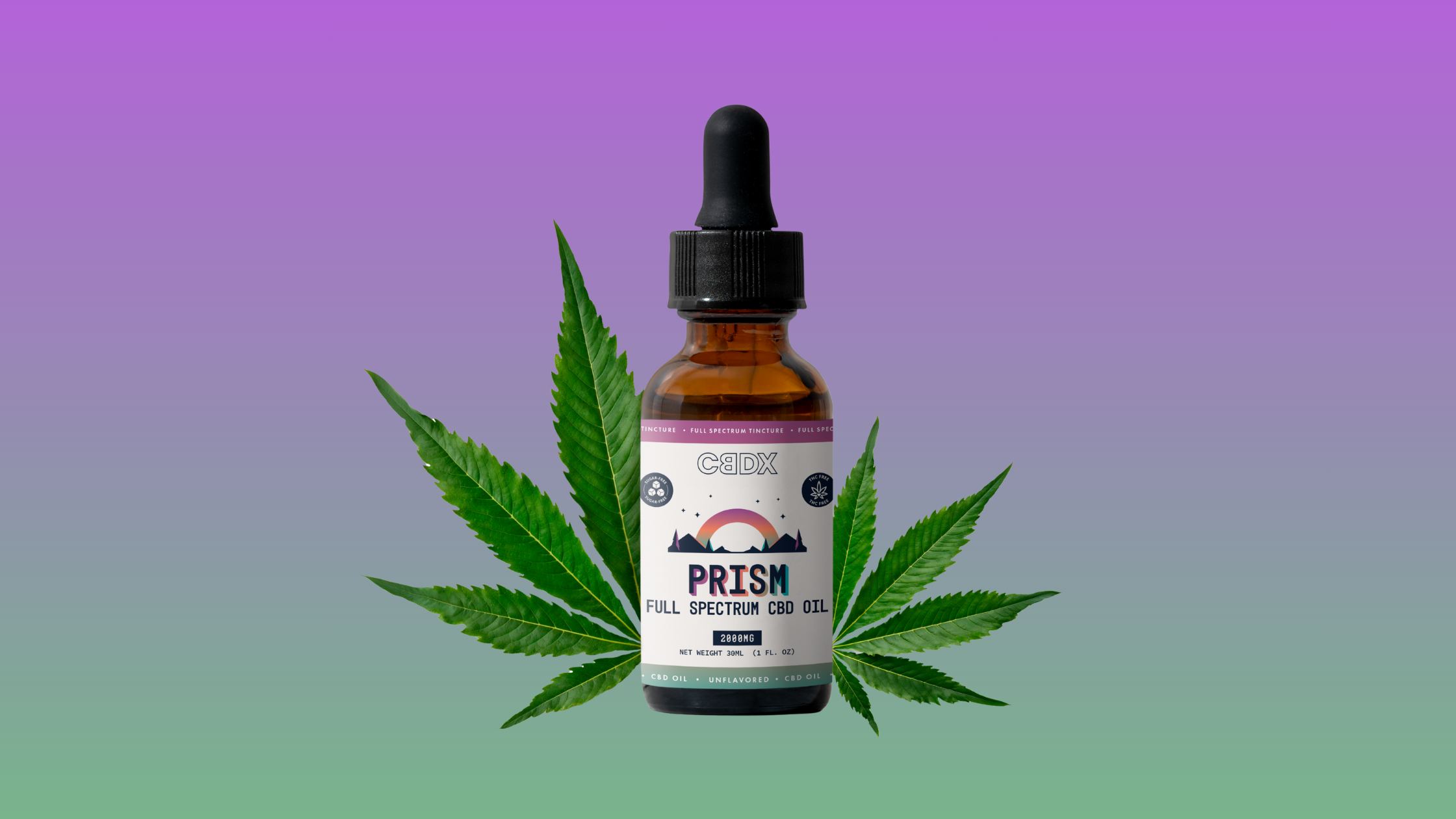 What Is Full Spectrum CBD? A Simple Guide to the Whole-Plant Difference