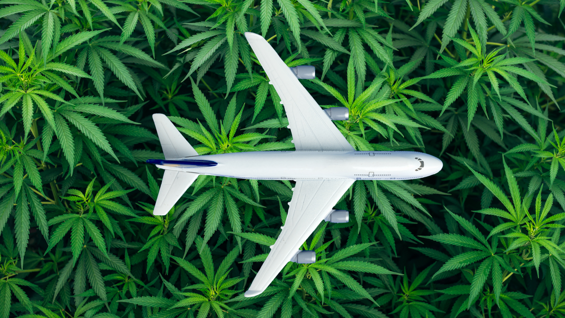 Can You Fly with THC Gummies? 2026 Travel Guide