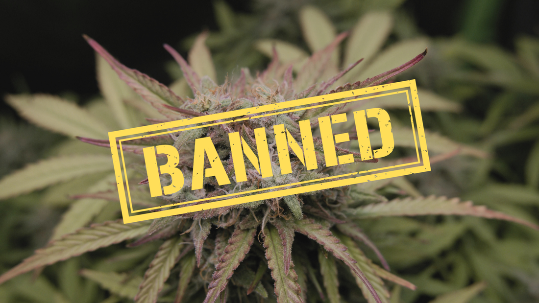 Federal Hemp Ban 2026