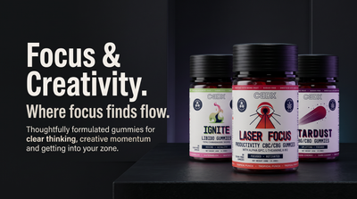 Focus & Productivity